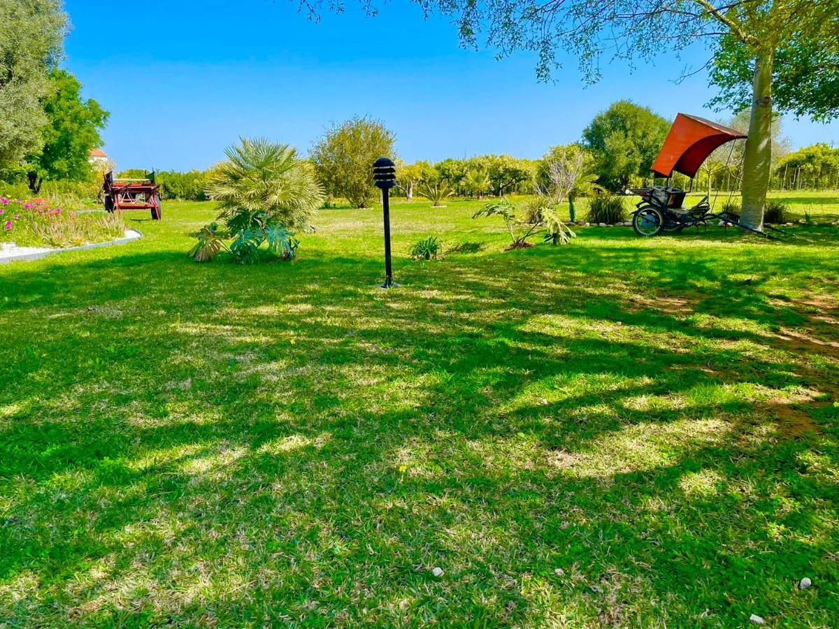 Casa Pepa Con Encanto 온다라 외부 사진